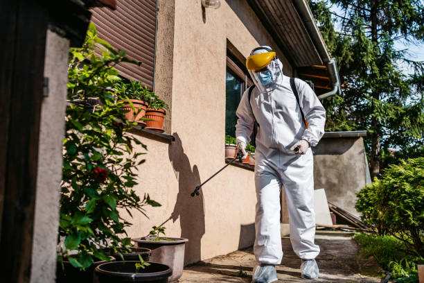 Professional Pest Control in Mission, TX