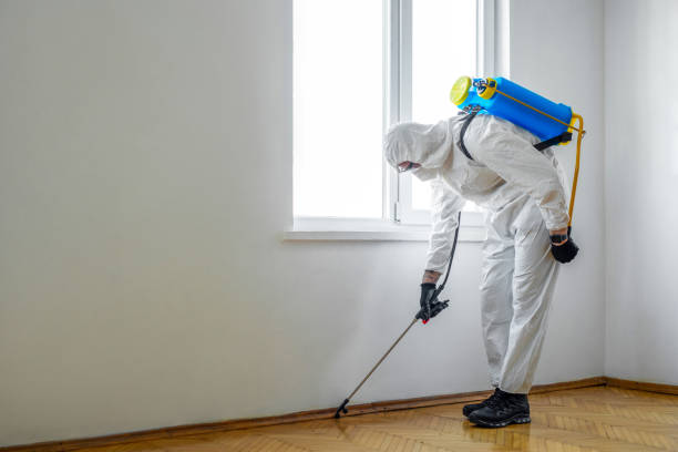 Best Commercial Pest Control Services  in Mission, TX