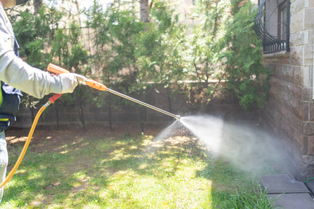 Best Spider Control Near Me  in Mission, TX
