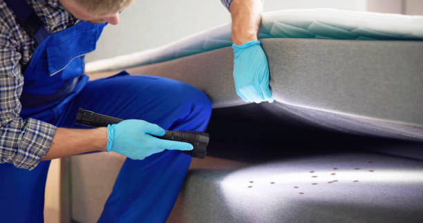 Best Rat Extermination Near Me  in Mission, TX